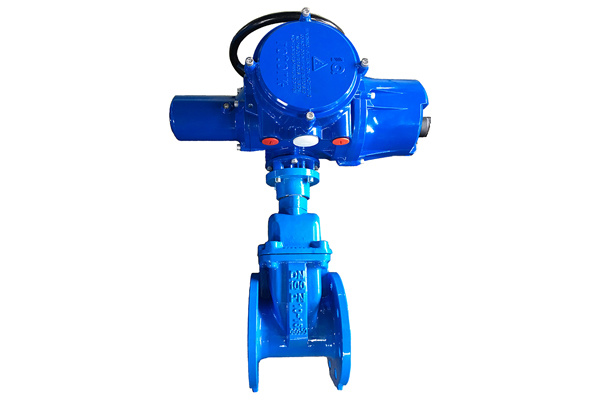 Electric Actuated Gate Valve - Suzhou Yueda Valve Co., Ltd