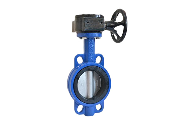 Wafer Butterfly Valve with Worm Gear - Suzhou Yueda Valve Co., Ltd