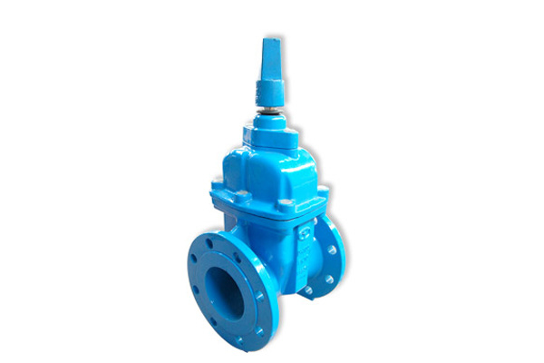 BS Pattern Gate Valve - Suzhou Yueda Valve Co., Ltd